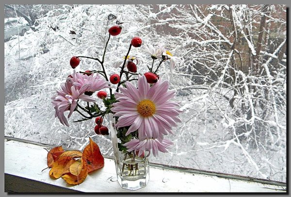 Снежным утром с цветами