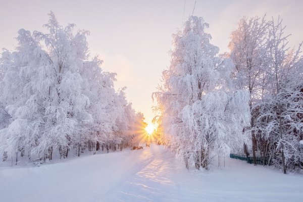 Снежное морозное утро