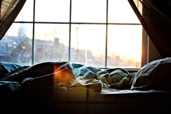 Спящая в окне утром
