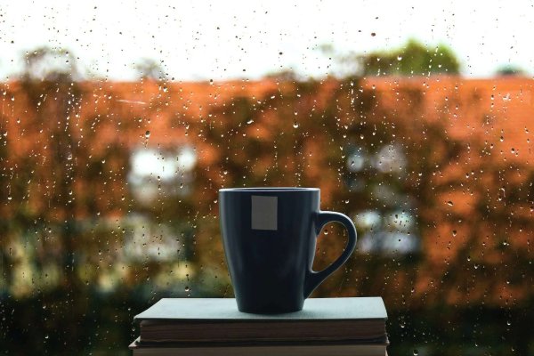 Утро и дождь за окном
