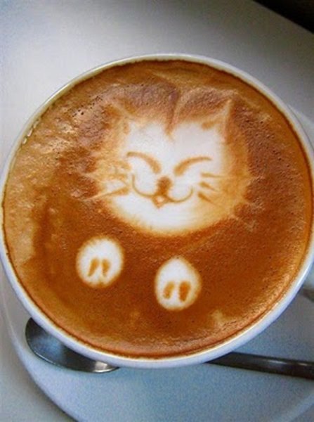 Утро кофе с котиком