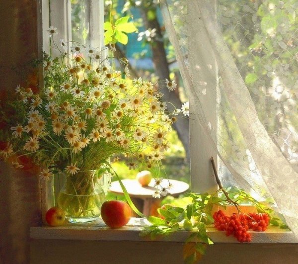 Утро окно и цветы