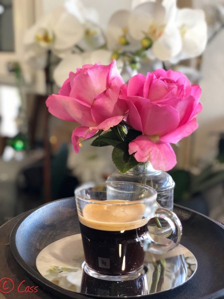 Утро розы и кофе