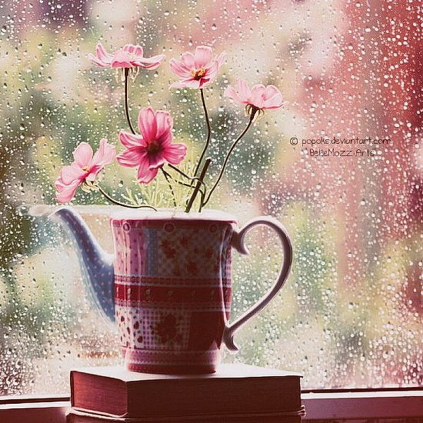 Утро с дождем и цветами