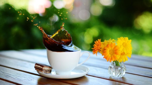 Утро солнце кофе и цветы