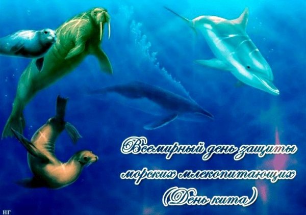 Всемирный день защиты морских млекопитающих