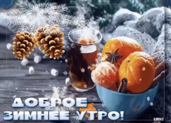 Здорового зимнего утра