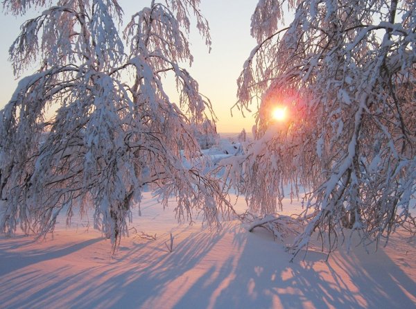 Зимнее утро чайковского для детей