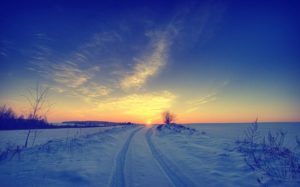 Зимнее утро и дорога