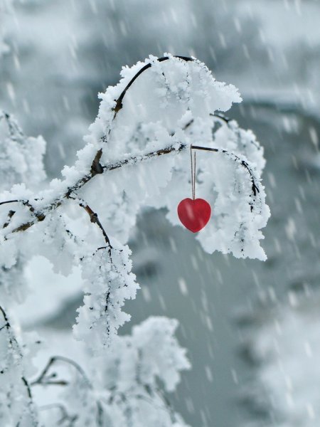 Зимнее утро и любовь