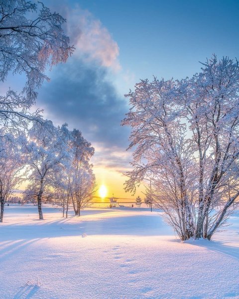 Зимний пейзаж утром