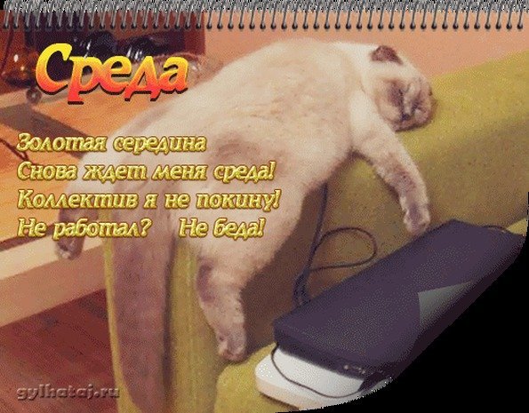 Снова среда