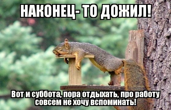 Вот и суббота наступила