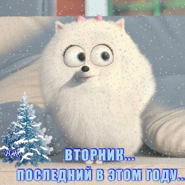 Вторник января