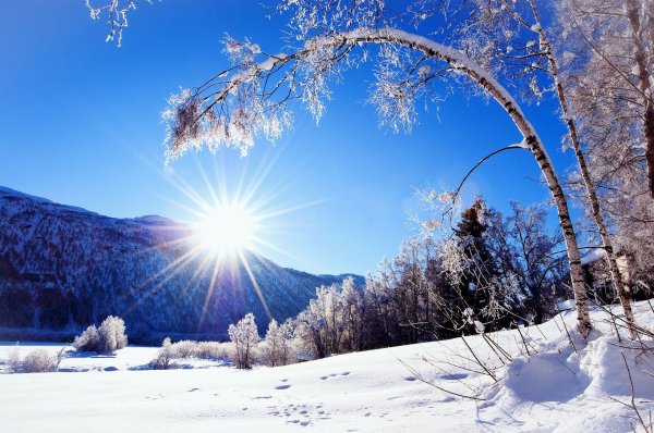 Доброе утро вторника зимой красивые и позитивные
