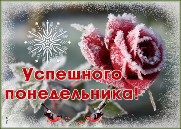 С добрым утром понедельника и пожеланием хорошего дня зимние