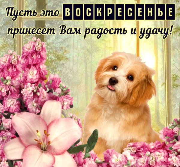 Женское воскресенье