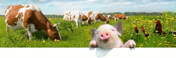 День сельскохозяйственных животных 10 апреля