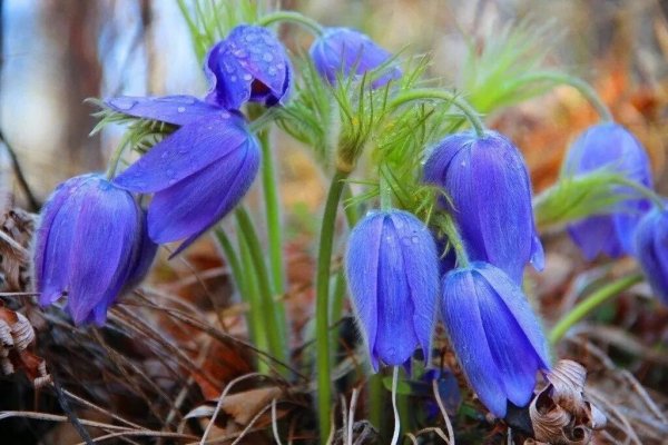 Доброе утро воскресенья весной