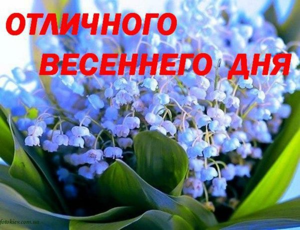 Хорошего весеннего воскресенья