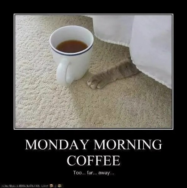 Кофе и понедельник прикольные