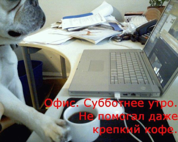 Когда в субботу на работу смешные