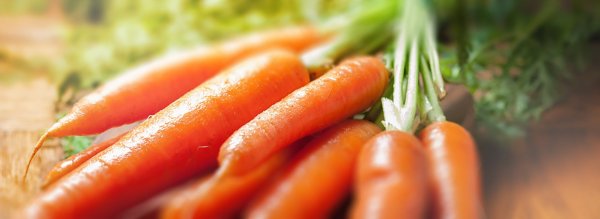Международный день моркови 4 апреля