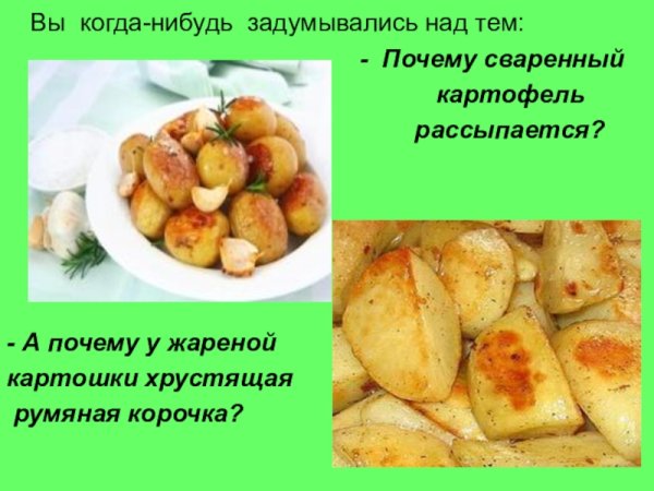 Международный день варки картофеля 26 апреля