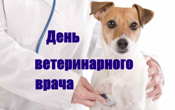 Международный день ветеринарного врача   27 апреля