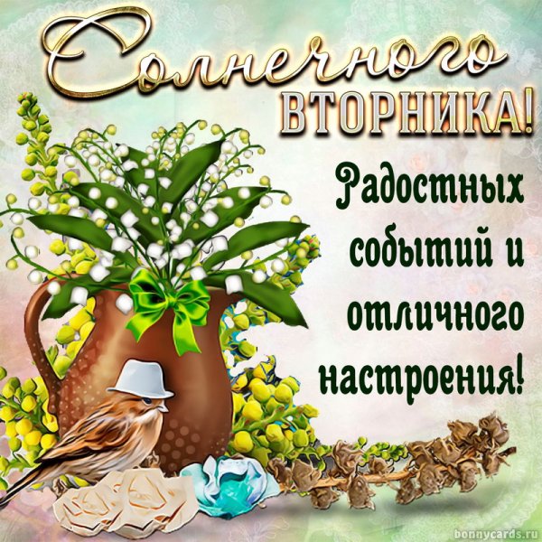 На день вторника