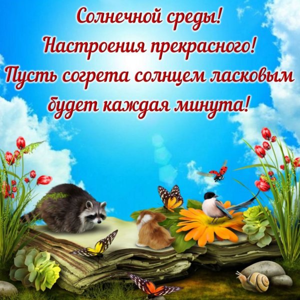 Открытки утро среды