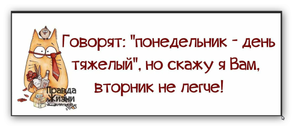 Понедельник закончился прикольные и смешные