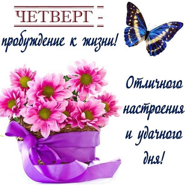 Привет четверг