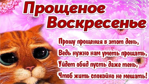 Прости меня подруга в прощенное воскресенье