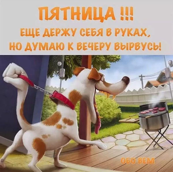 Пятница гуляем