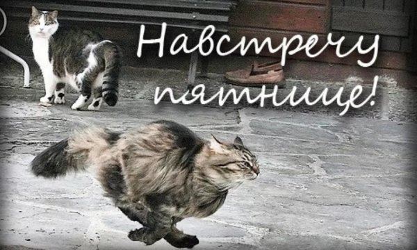 Пятница скоро выходные прикольные