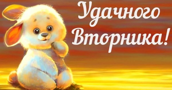 С добрым утром и удачного вторника прикольные