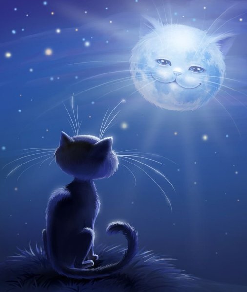 С пожеланием доброй ночи с котенком