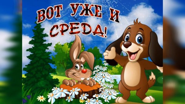 Среда не беда