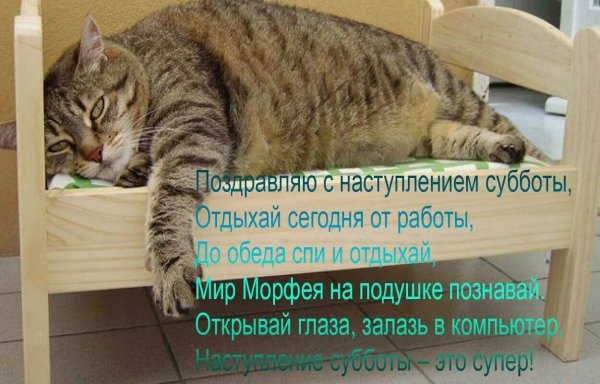 В субботу можно и отдохнуть