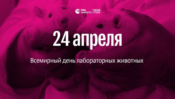 Всемирный день защиты лабораторных животных 24 апреля