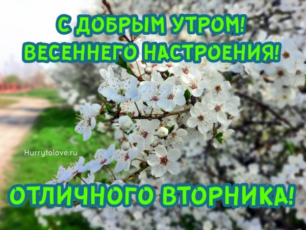 Вторник весной