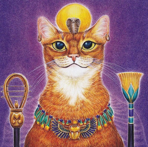 День порадования кошачьих богов 4 июня