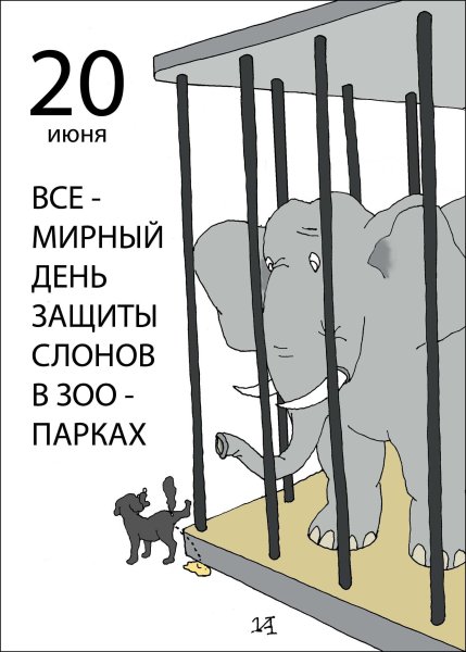 Всемирный день защиты слонов в зоопарках 20 июня