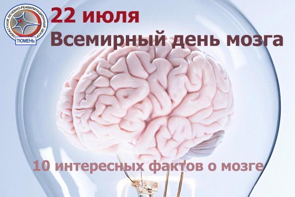 Всемирный день мозга 22 июля