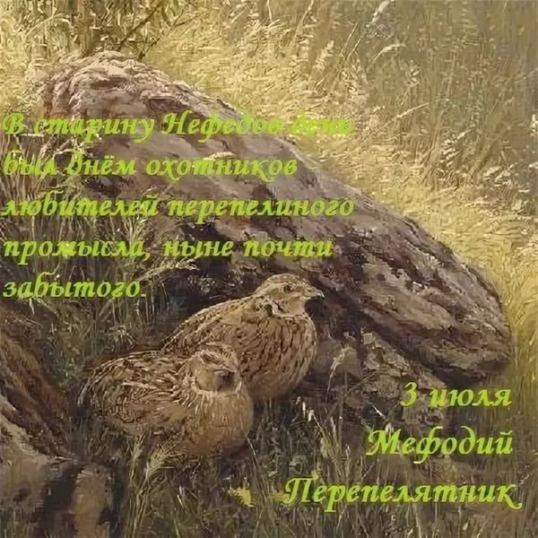 Мефодий Перепелятник   3 июля