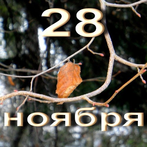 Гурьев день   28 ноября