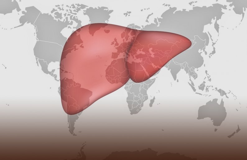 Всемирный день борьбы с гепатитом С 19 мая