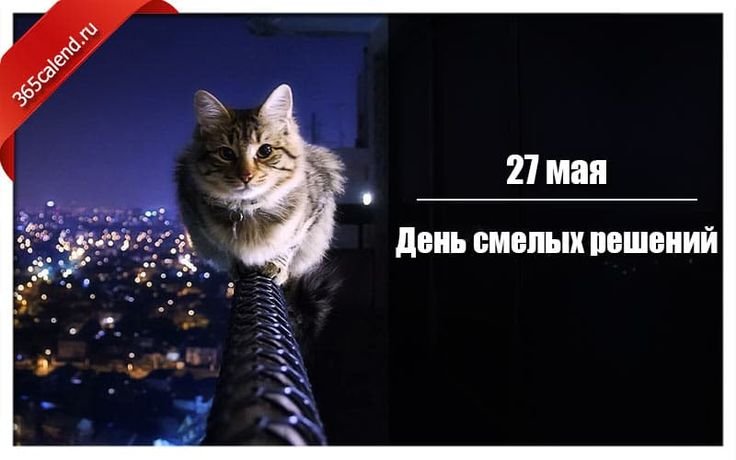 День смелых решений 27 мая