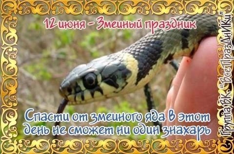 Змеиный праздник   12 июня